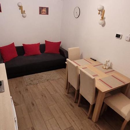 Apartament Miruna Sibiu Filarmonicii Buitenkant foto