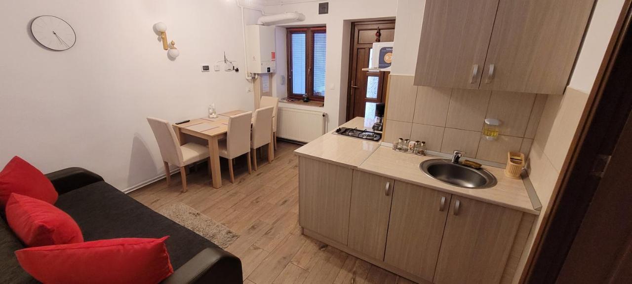 Apartament Miruna Sibiu Filarmonicii Buitenkant foto